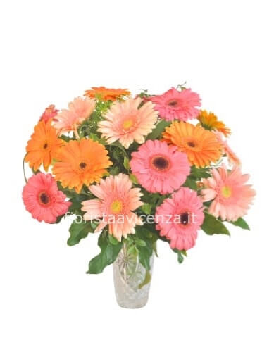 Bouquet di gerbere medio
