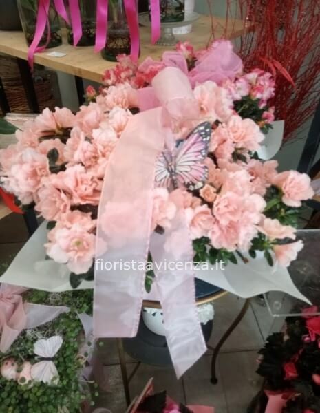 Azalea Clean Air Flowers for 50 days