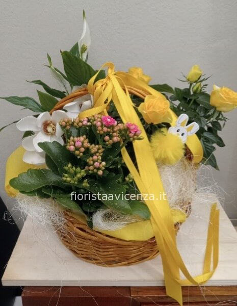 Cesto piante fiorite perenni